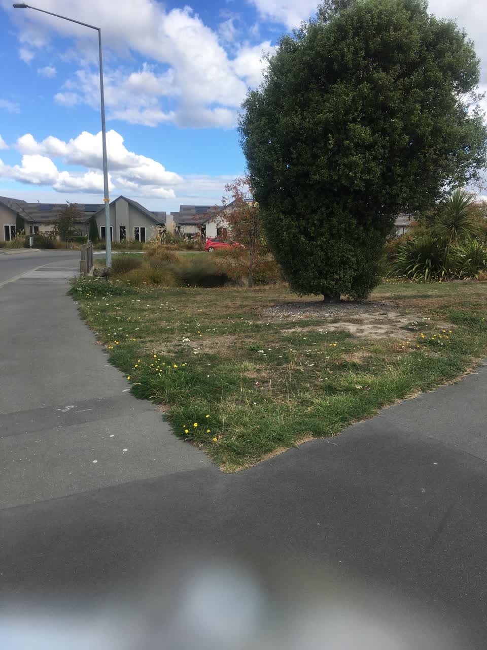 The photograph attached to this parks report