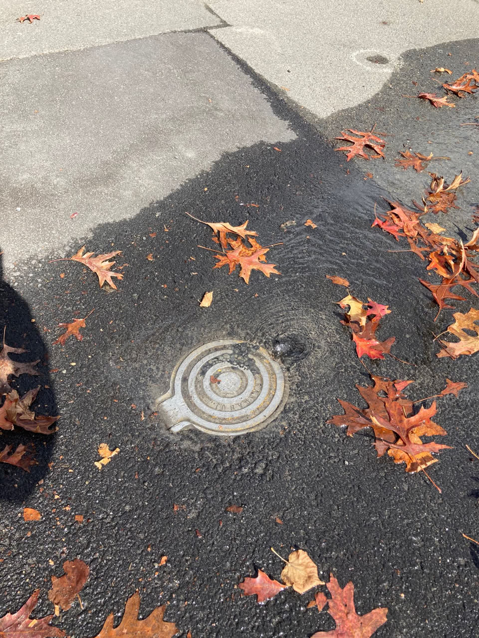The photograph attached to this water leak report