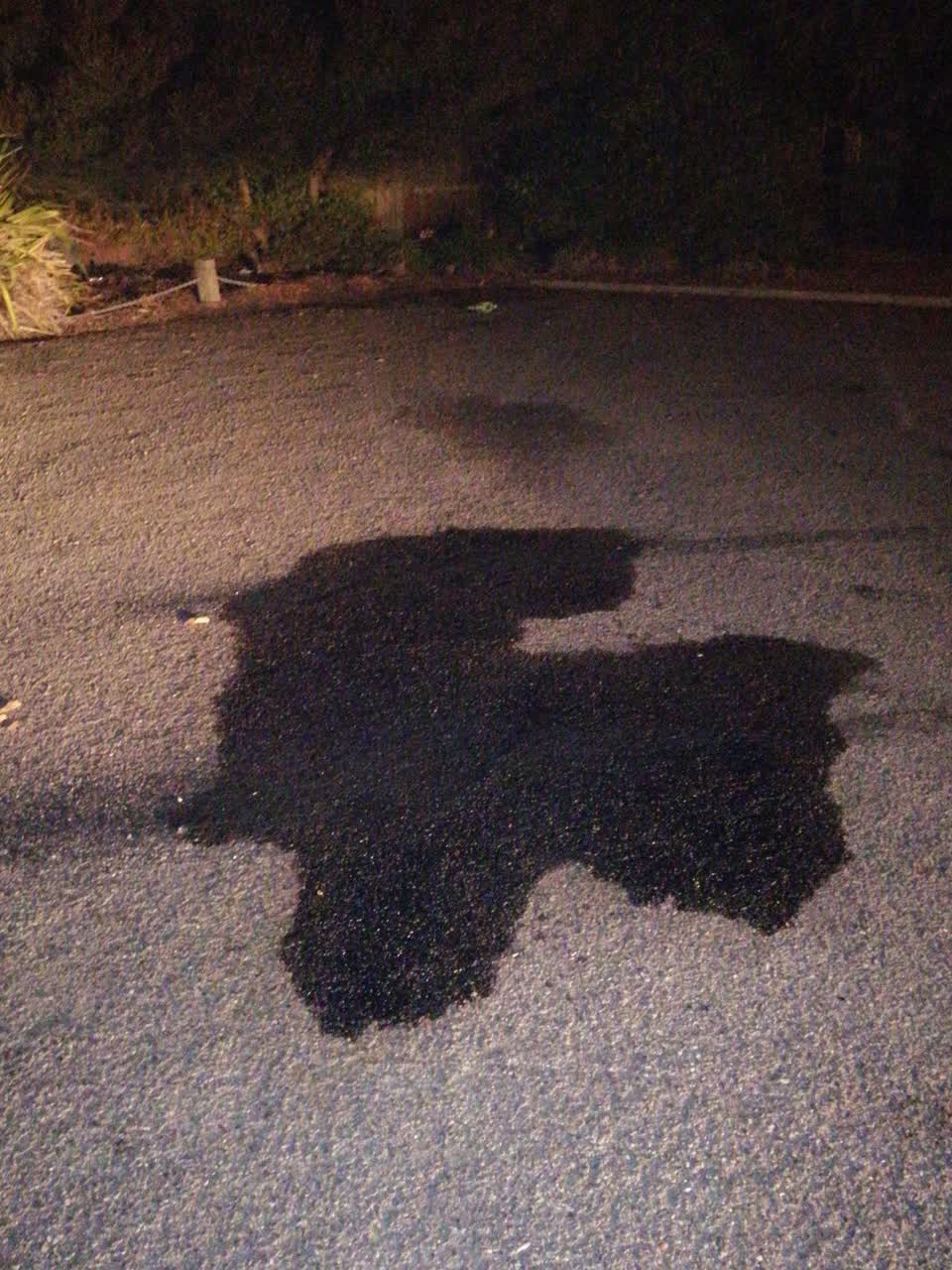 The photograph attached to this parks report