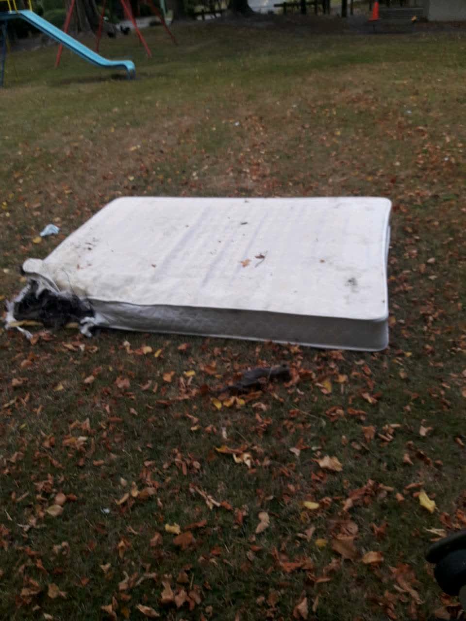The photograph attached to this parks report