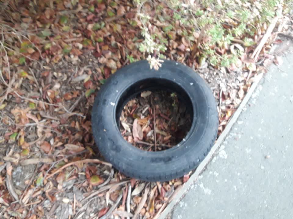 The photograph attached to this rubbish/recycling report