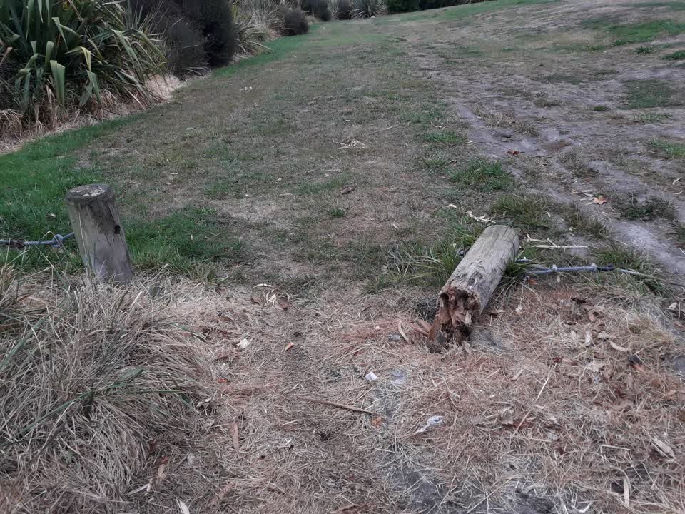 The photograph attached to this parks report
