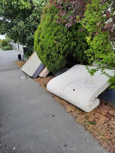 Rubbish/Recycling, a report photo