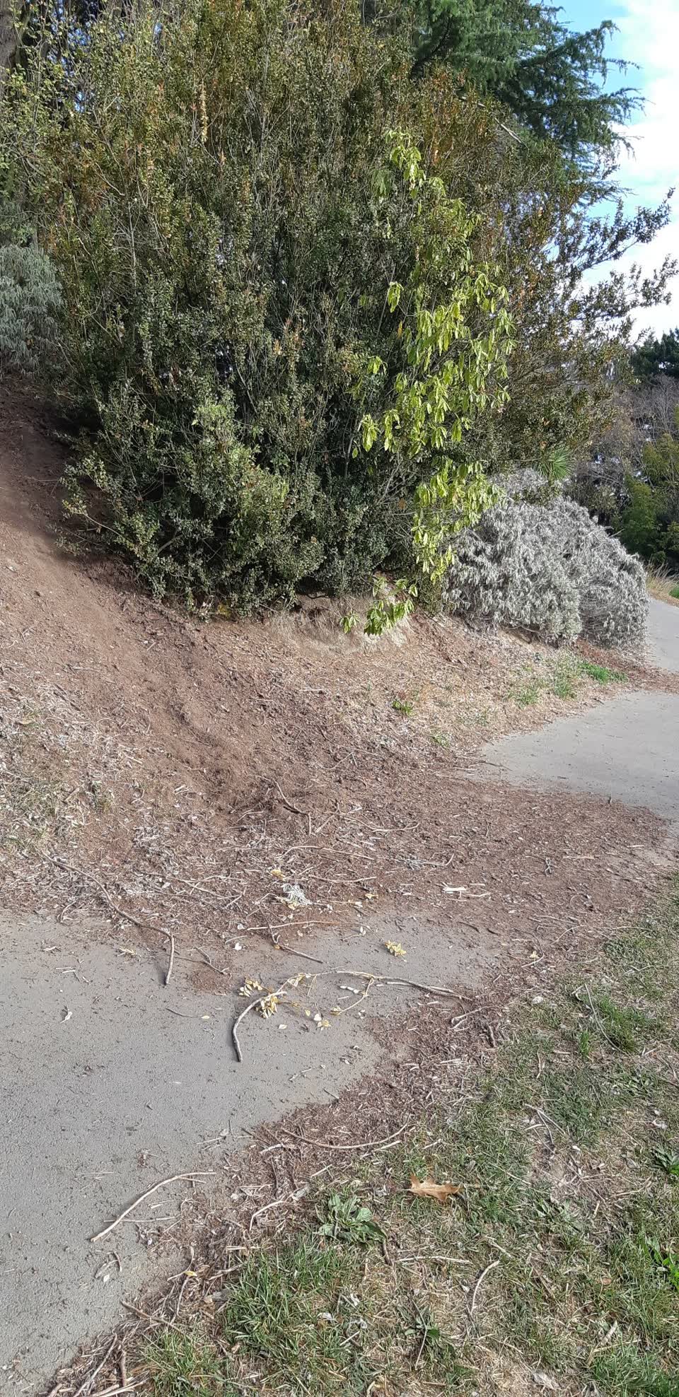 The photograph attached to this parks report