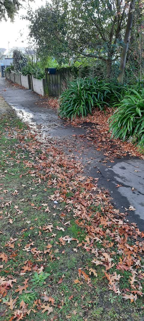 Water Leak, a report photo