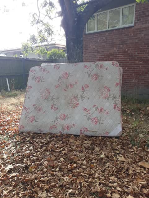 Rubbish/Recycling, a report photo