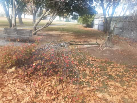 Parks, a report photo