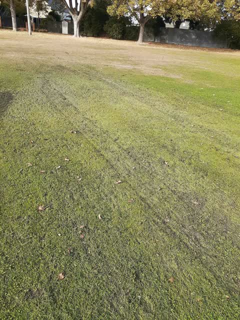 Parks, a report photo
