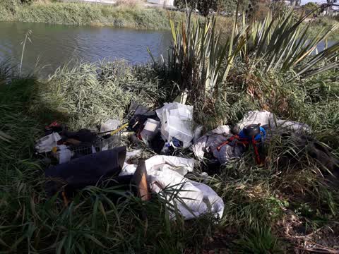 Parks, a report photo