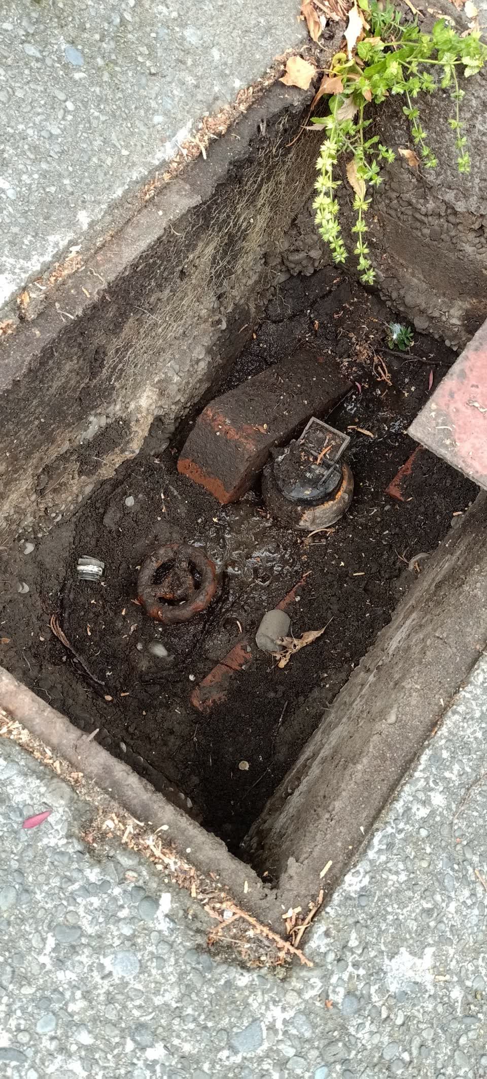 The photograph attached to this water supply report