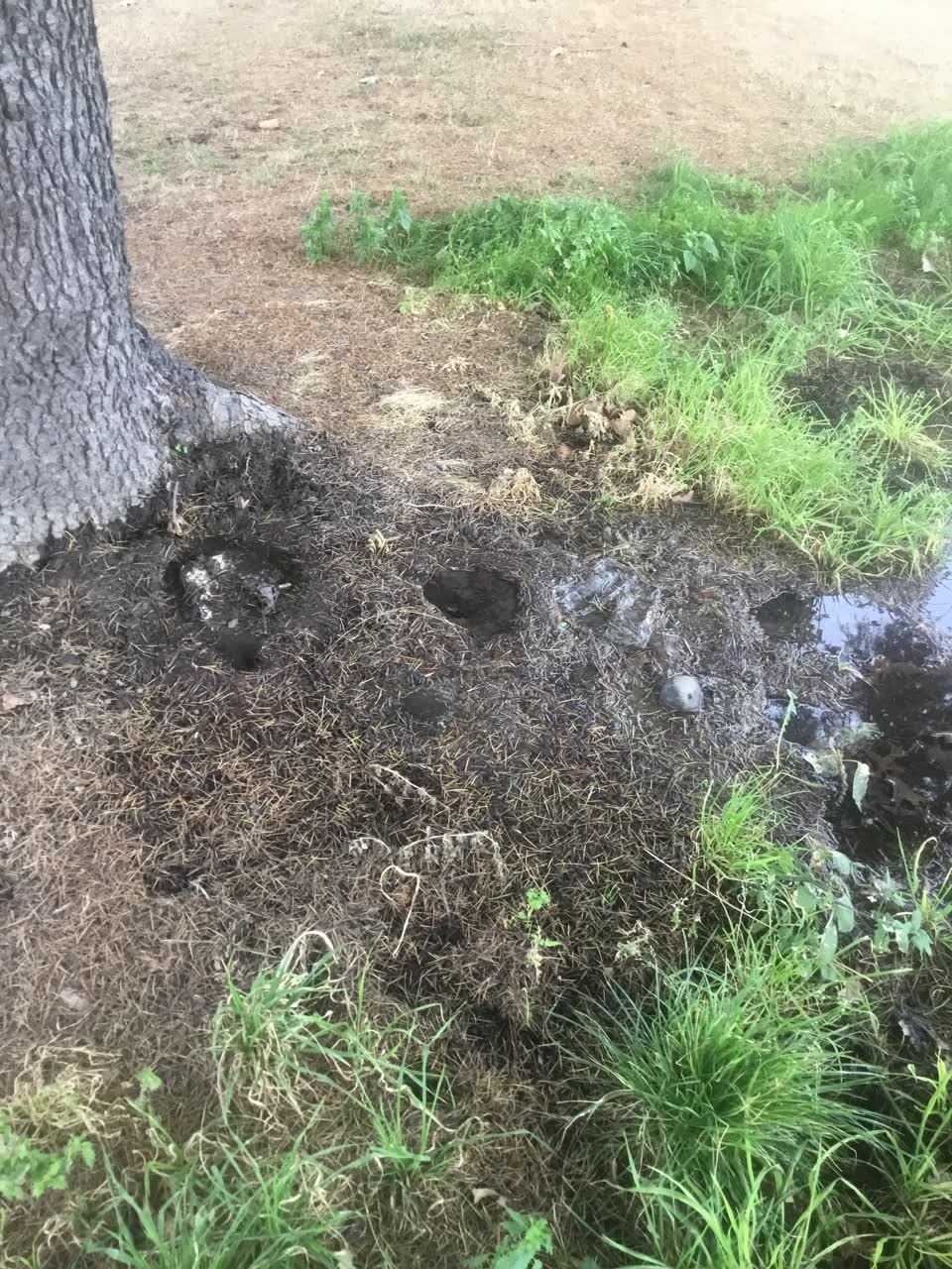 The photograph attached to this water leak report
