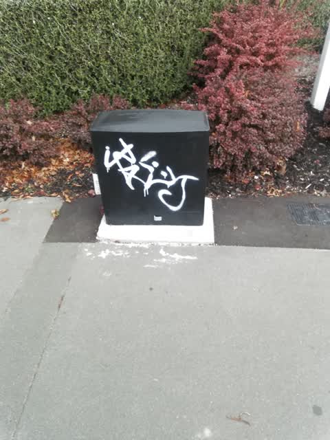 Graffiti, a report photo
