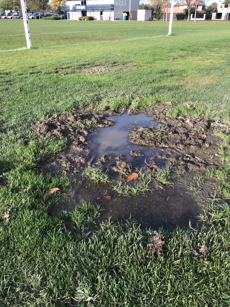 The photograph attached to this parks report