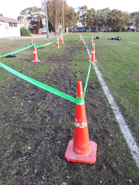 Parks, a report photo
