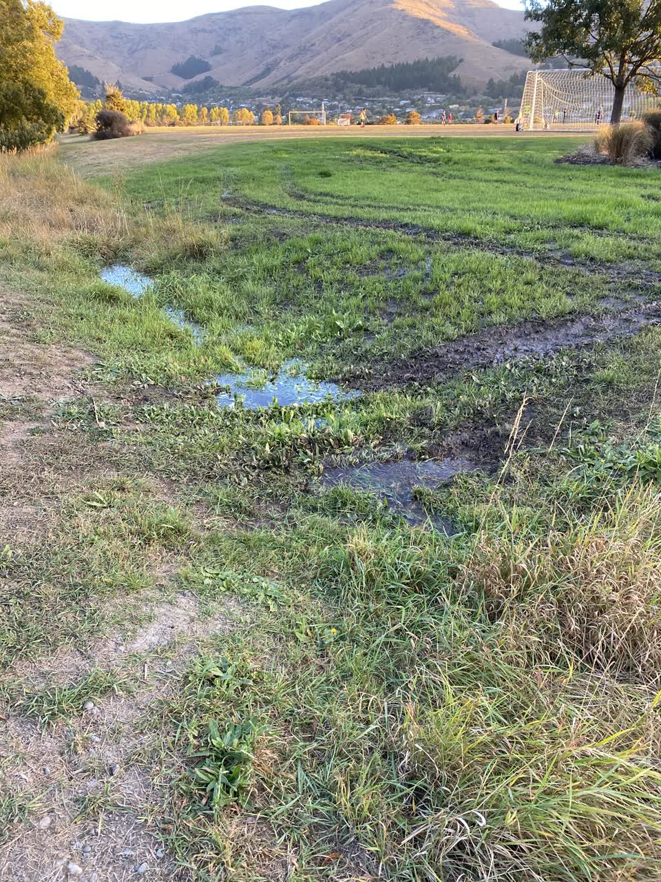 The photograph attached to this parks report