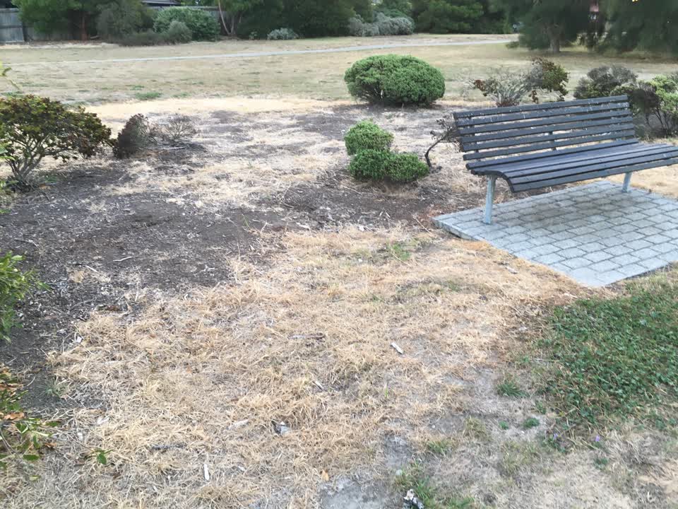 The photograph attached to this parks report