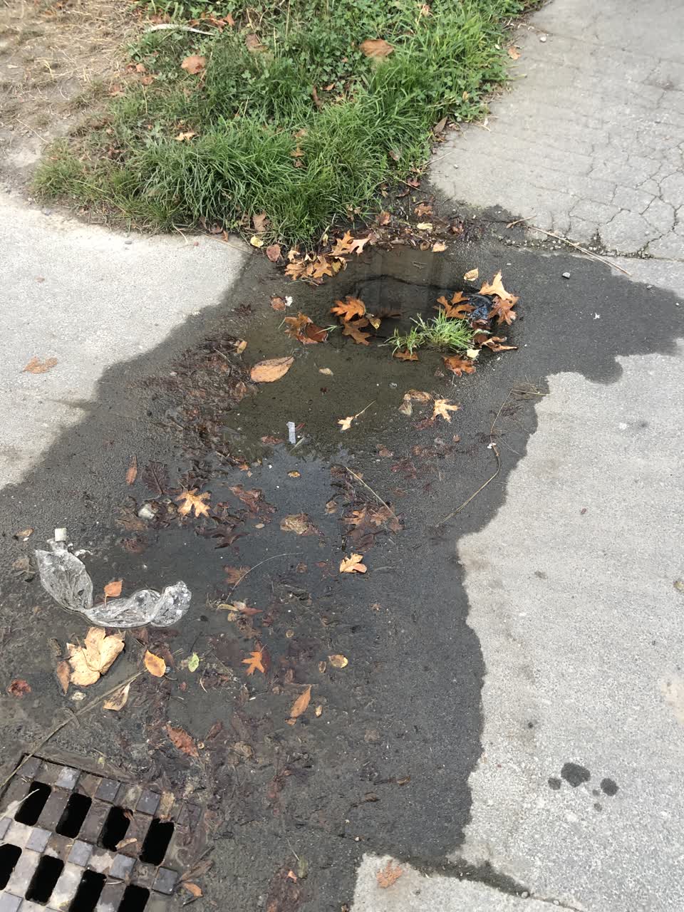 The photograph attached to this water leak report