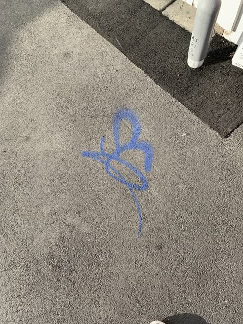 Graffiti, a report photo