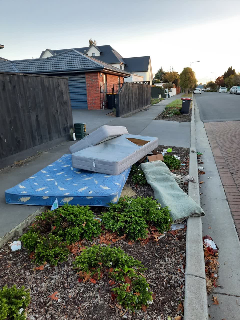 The photograph attached to this rubbish/recycling report