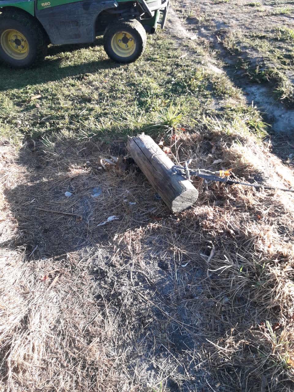 The photograph attached to this parks report