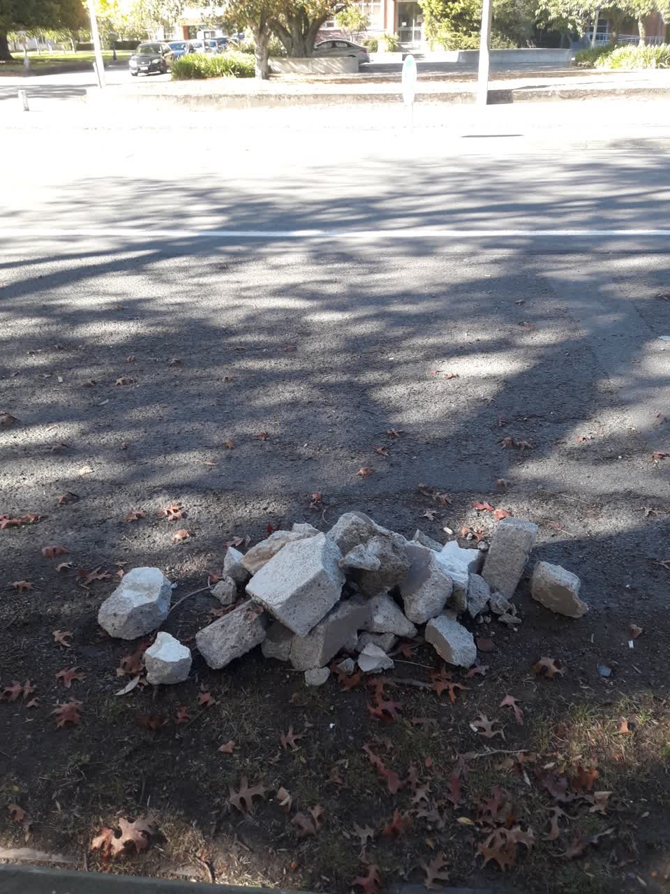 The photograph attached to this parks report