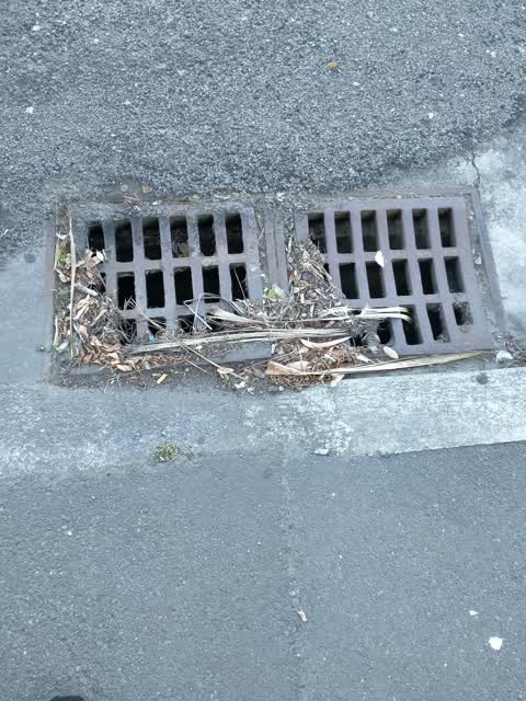 Sewer - General, a report photo
