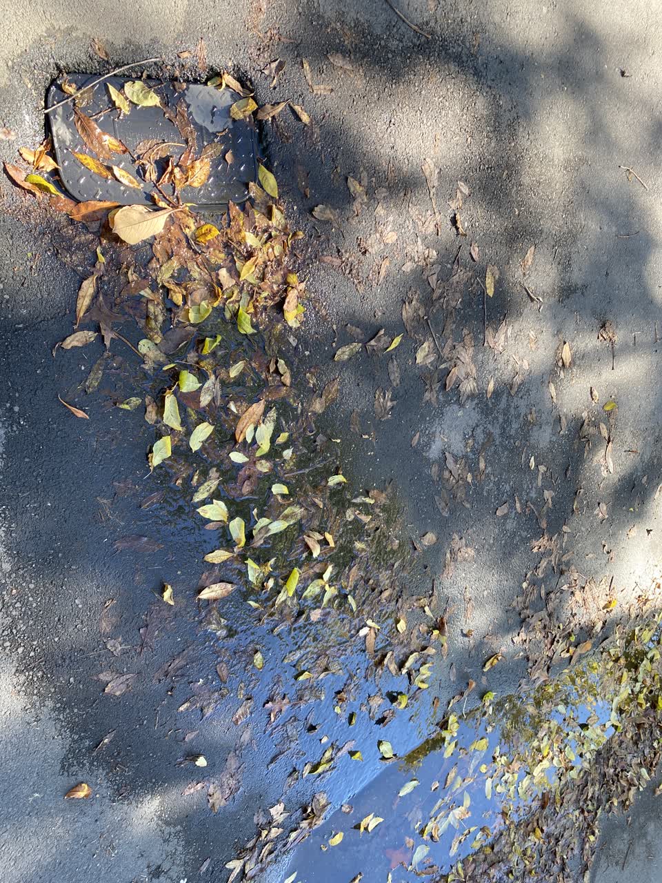 The photograph attached to this wastewater/stormwater report