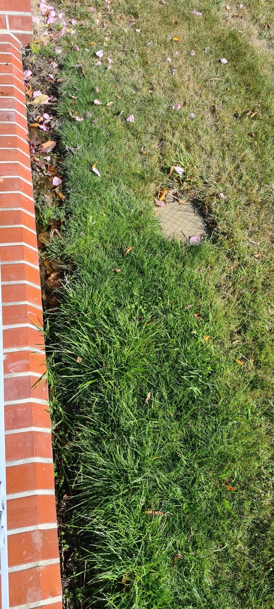 The photograph attached to this water leak report