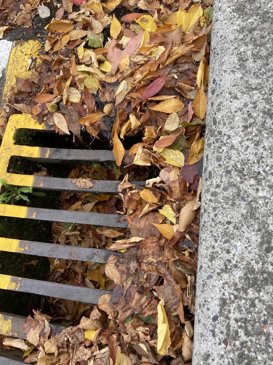 The photograph attached to this water leak report