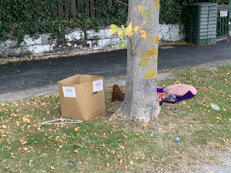 The photograph attached to this rubbish/recycling report