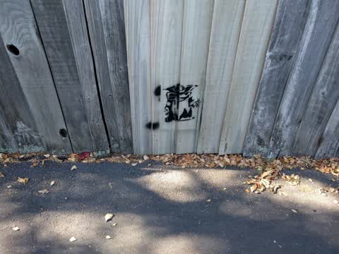 Graffiti, a report photo