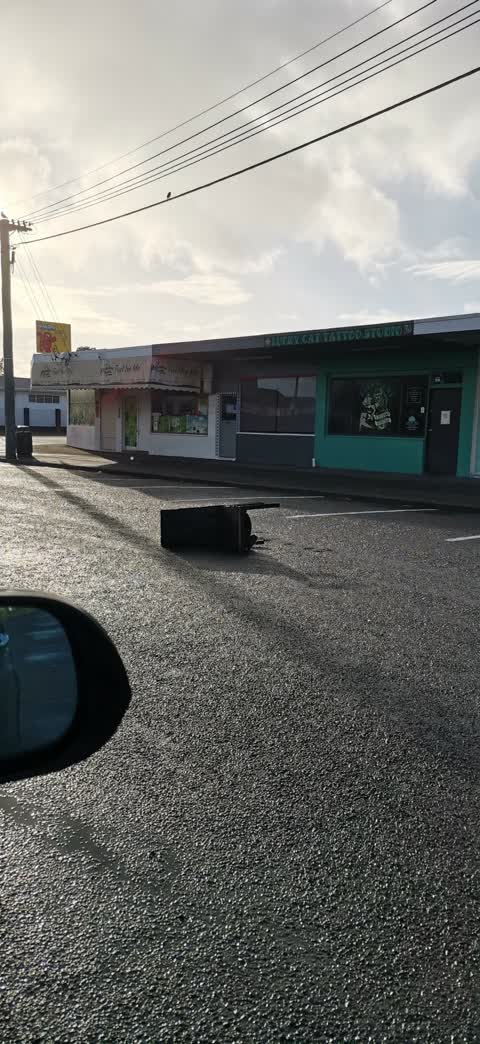 Rubbish/Recycling, a report photo