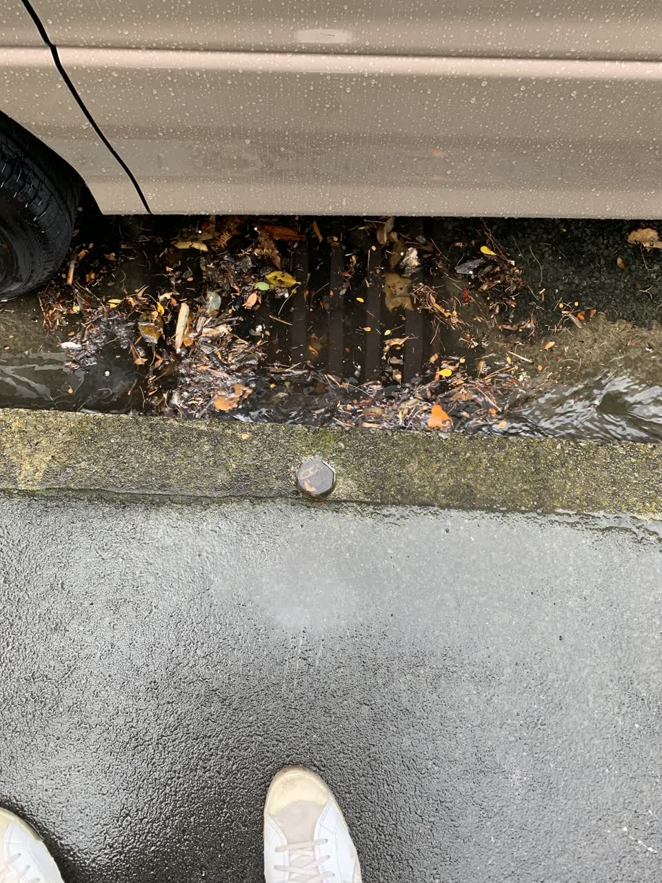 The photograph attached to this wastewater/stormwater report
