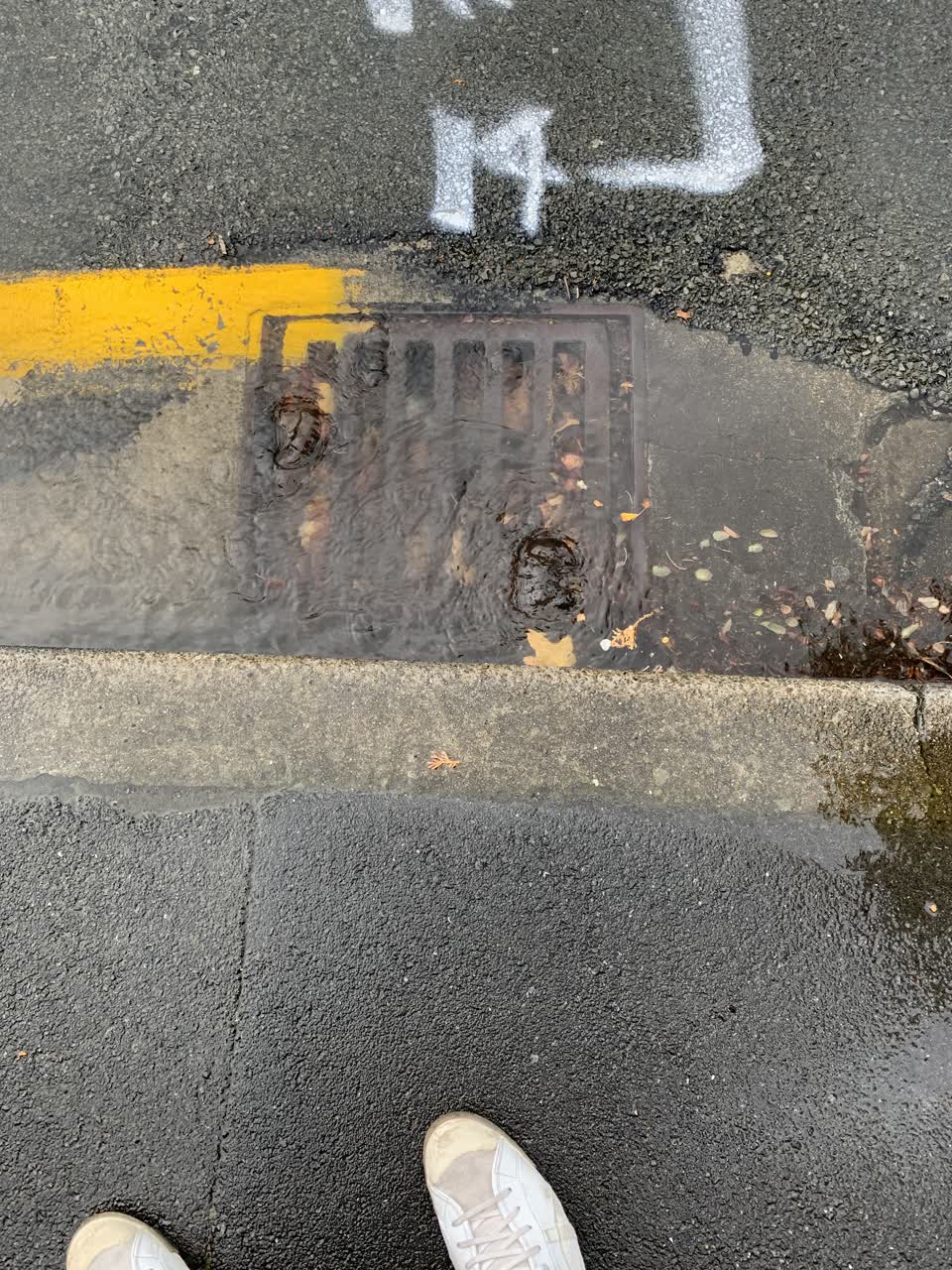 The photograph attached to this wastewater/stormwater report