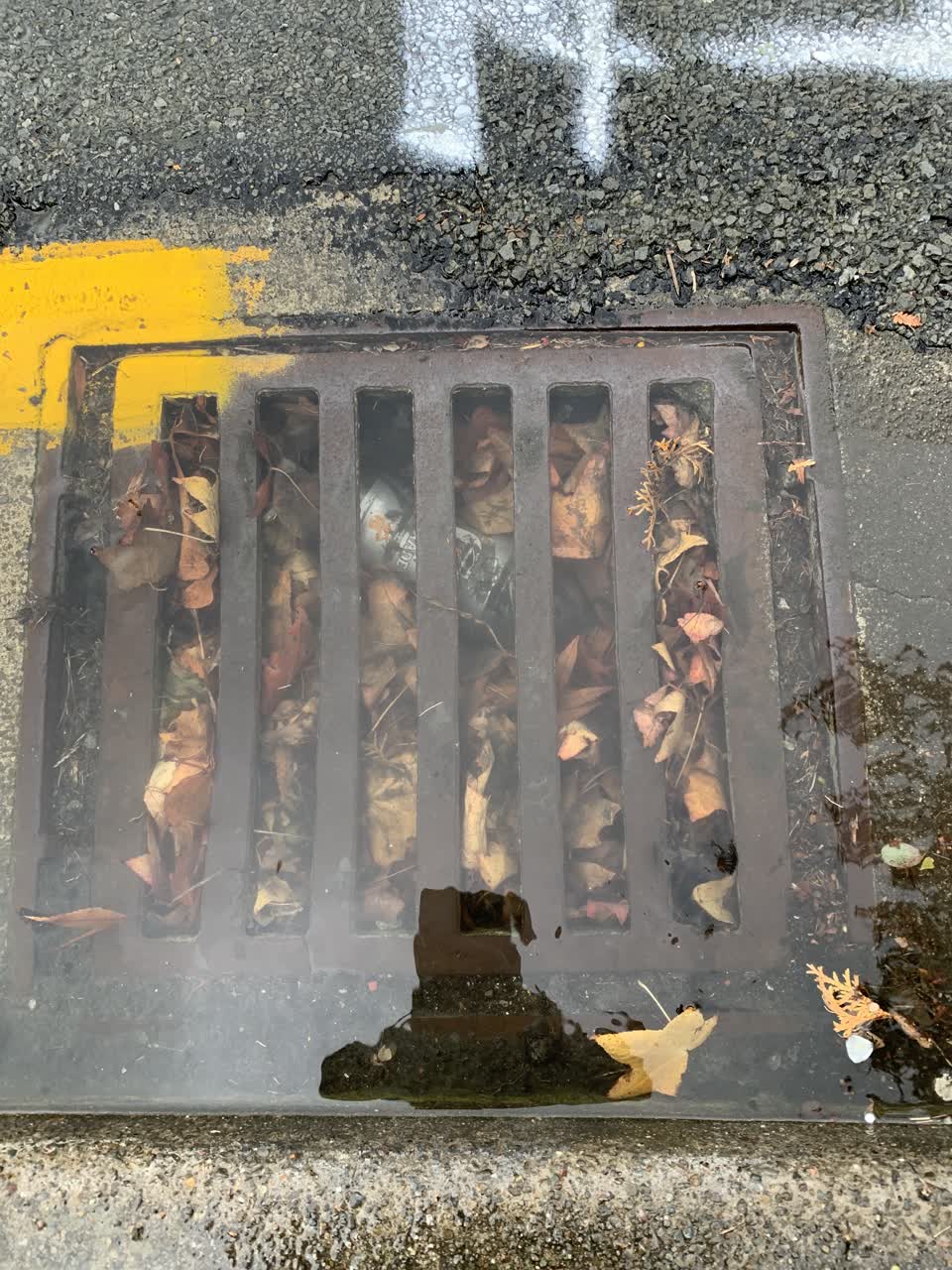 The photograph attached to this wastewater/stormwater report