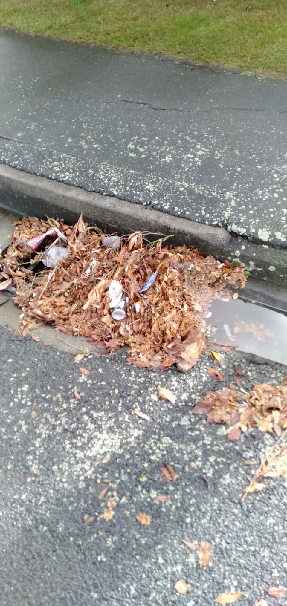 The photograph attached to this flooding report
