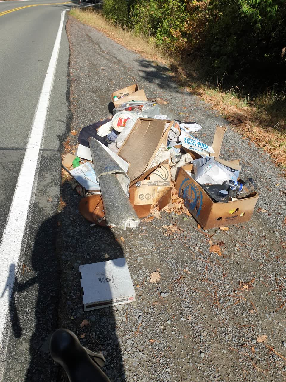 The photograph attached to this rubbish/recycling report