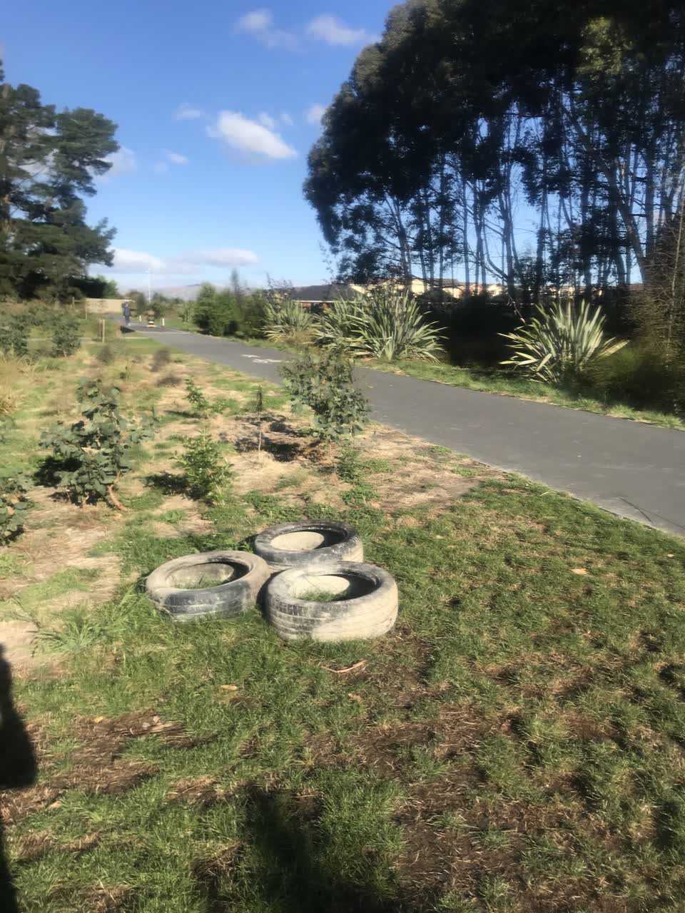 The photograph attached to this parks report