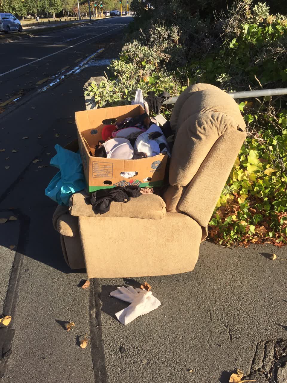 The photograph attached to this rubbish/recycling report