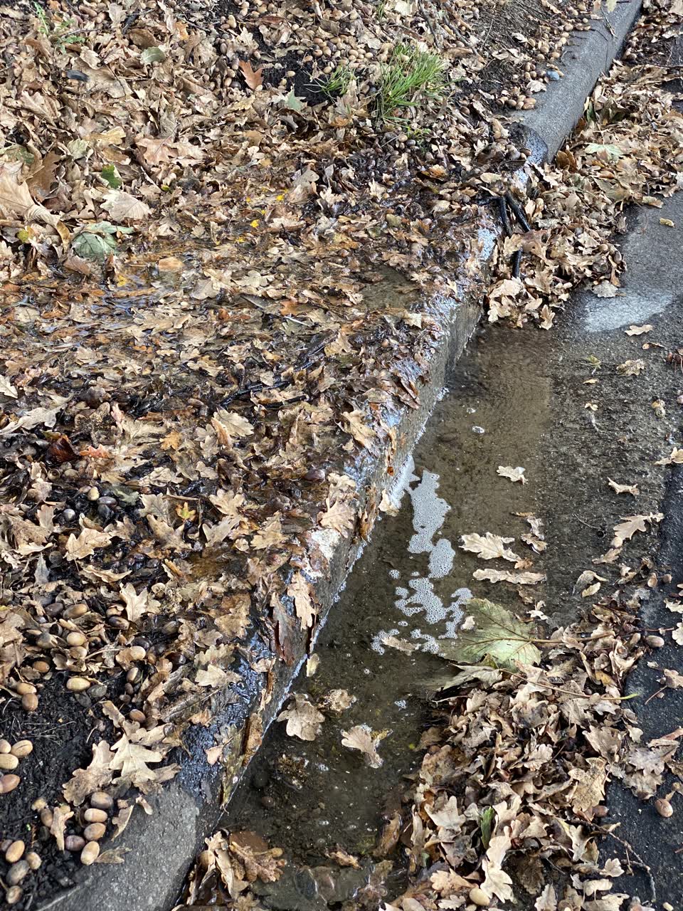 The photograph attached to this water leak report