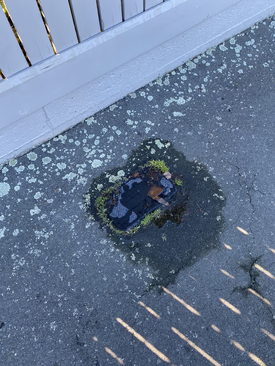 The photograph attached to this water supply report