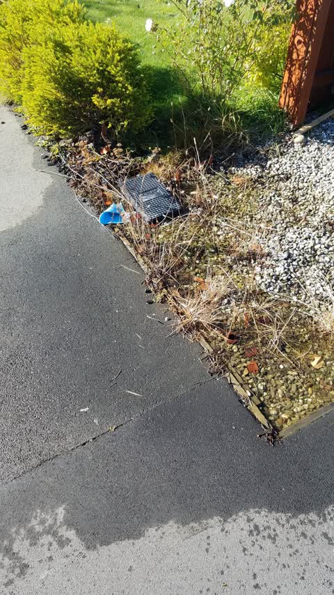 Water Leak, a report photo