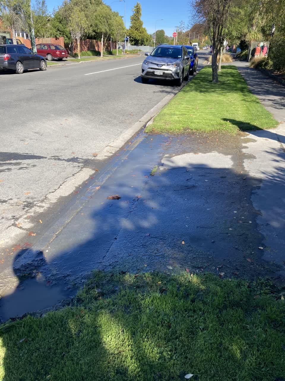 The photograph attached to this water leak report