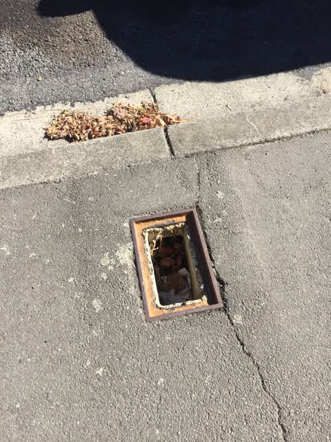 Roading/Streets, a report photo