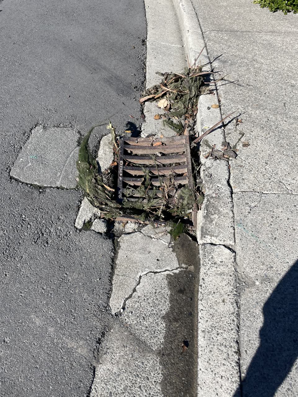 The photograph attached to this wastewater/stormwater report