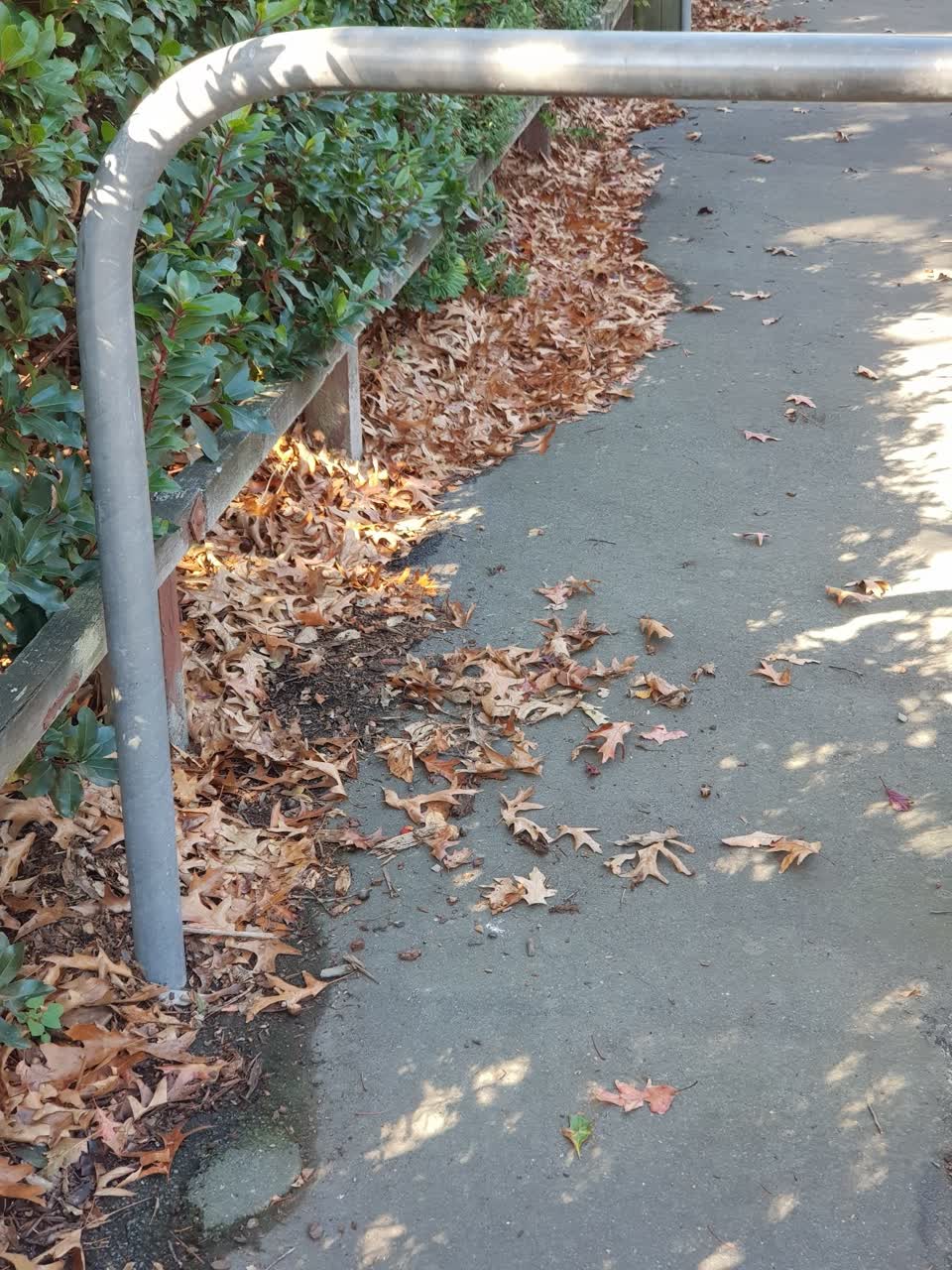 The photograph attached to this parks report
