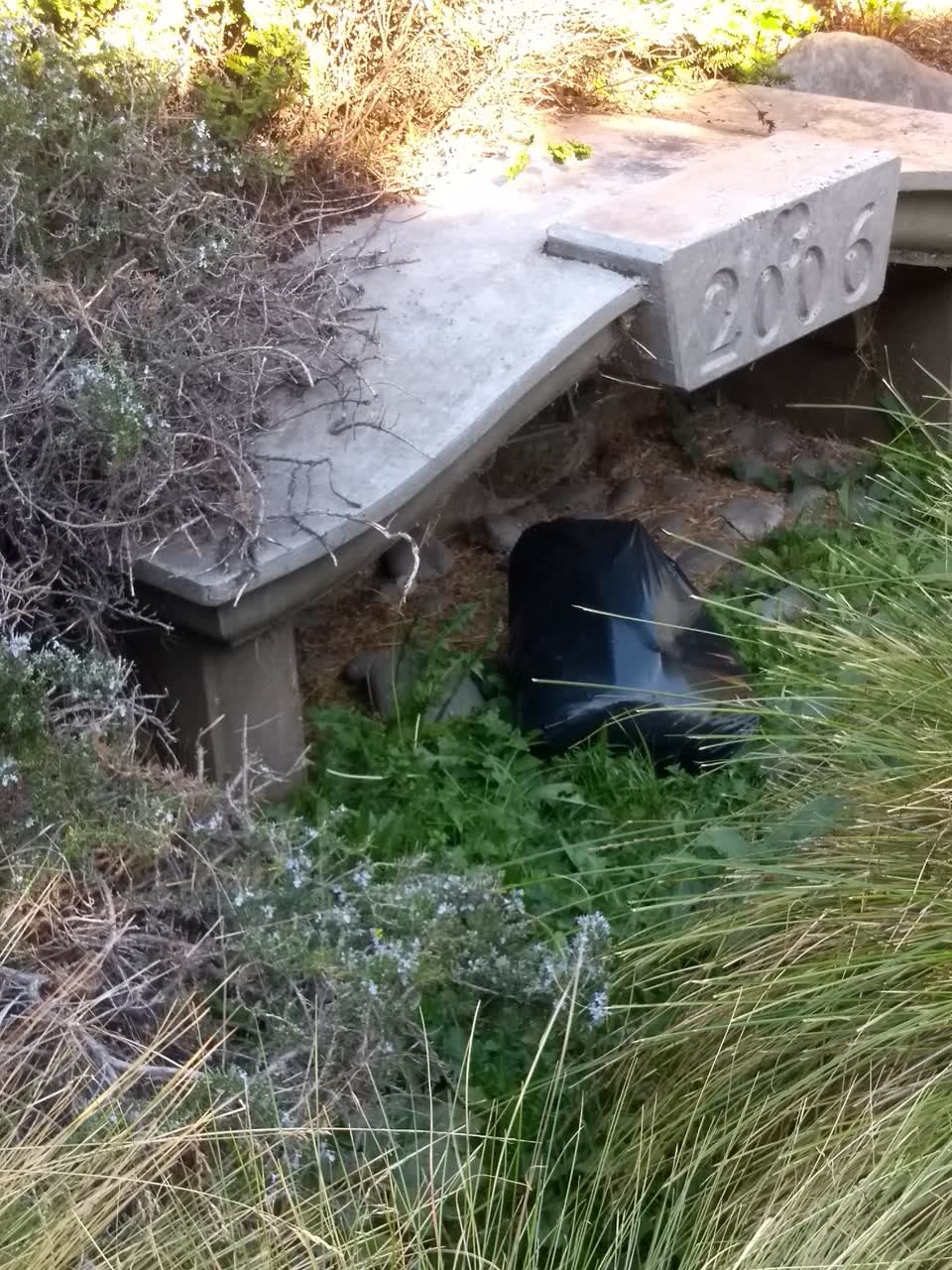 The photograph attached to this rubbish/recycling report