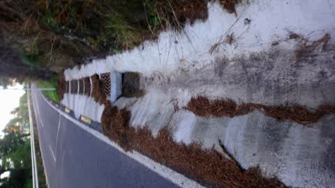 Roading/Streets, a report photo