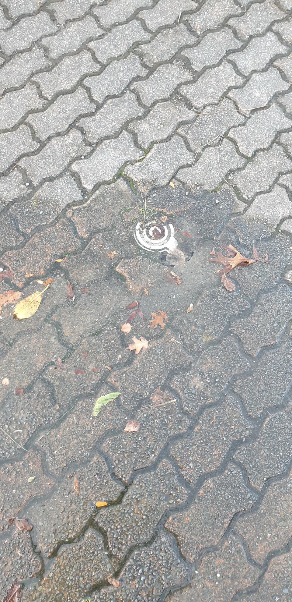 The photograph attached to this water leak report