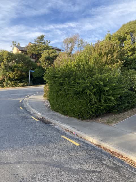 Parks, a report photo
